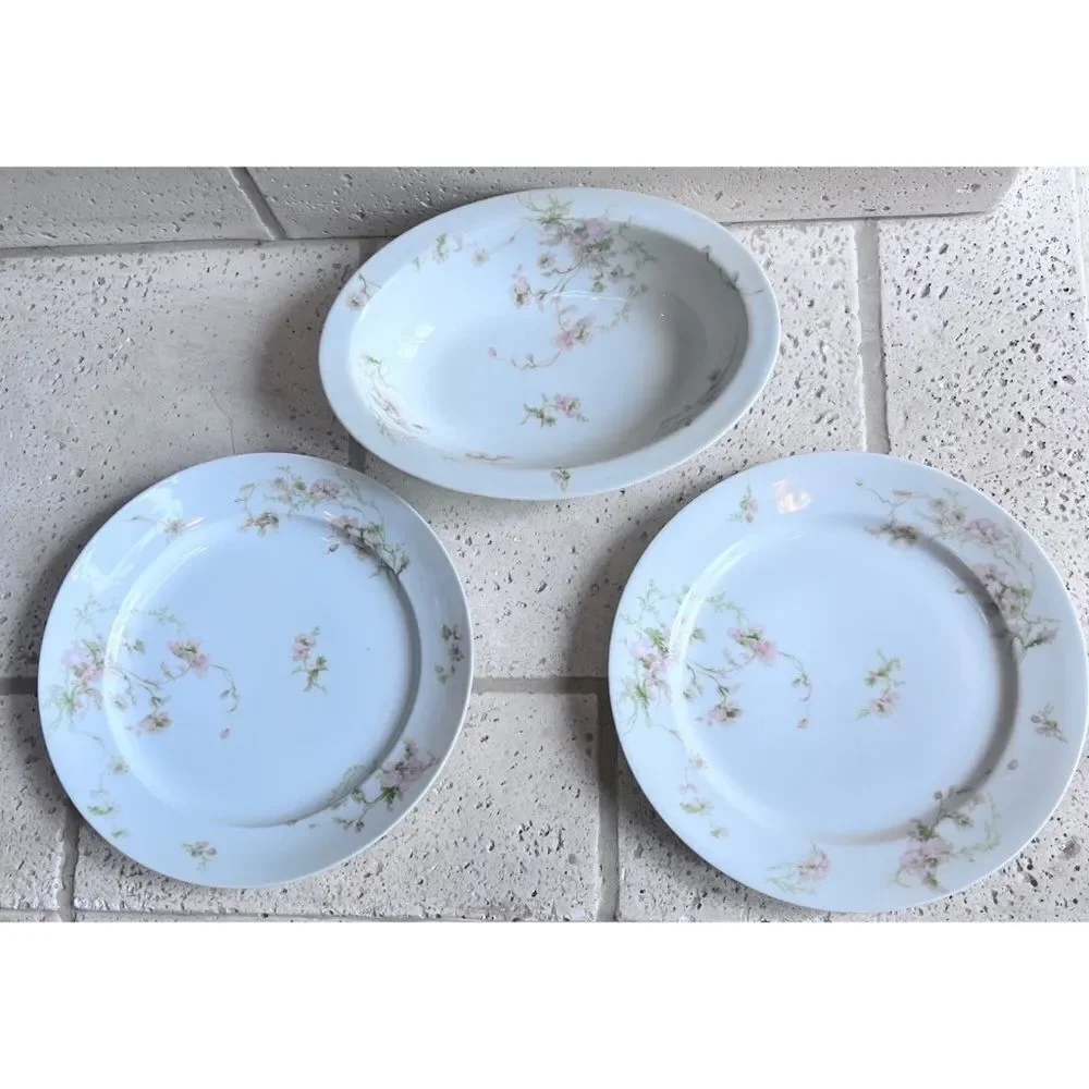 Vintage GDA CH Field Haviland Limoges France Floral Dinner Plates & Serving Dish